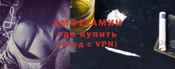индика Новозыбков