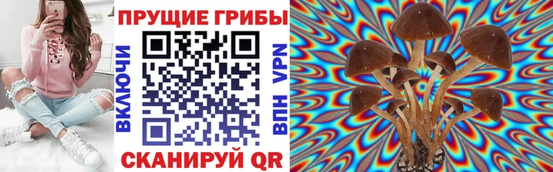 где купить наркоту  Николаевск-на-Амуре  это как зайти  Галлюциногенные грибы GOLDEN TEACHER 
